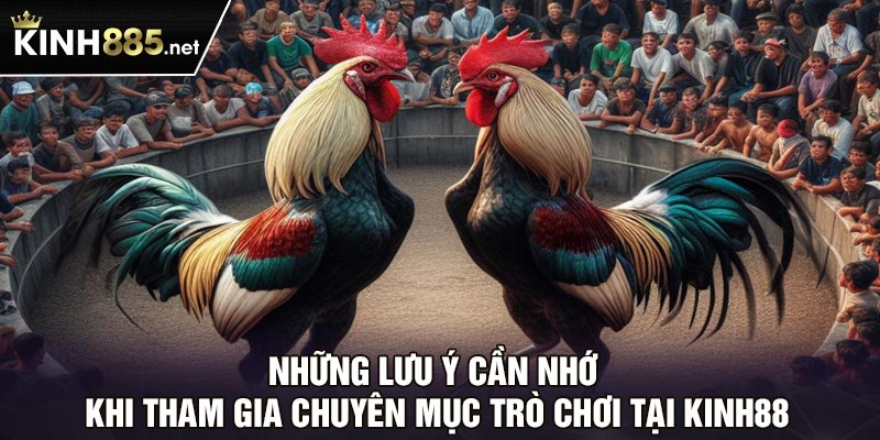 Những lưu ý cần nhớ khi tham gia chuyên mục trò chơi tại Kinh88